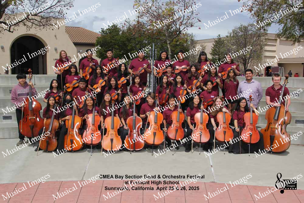 Musical Images